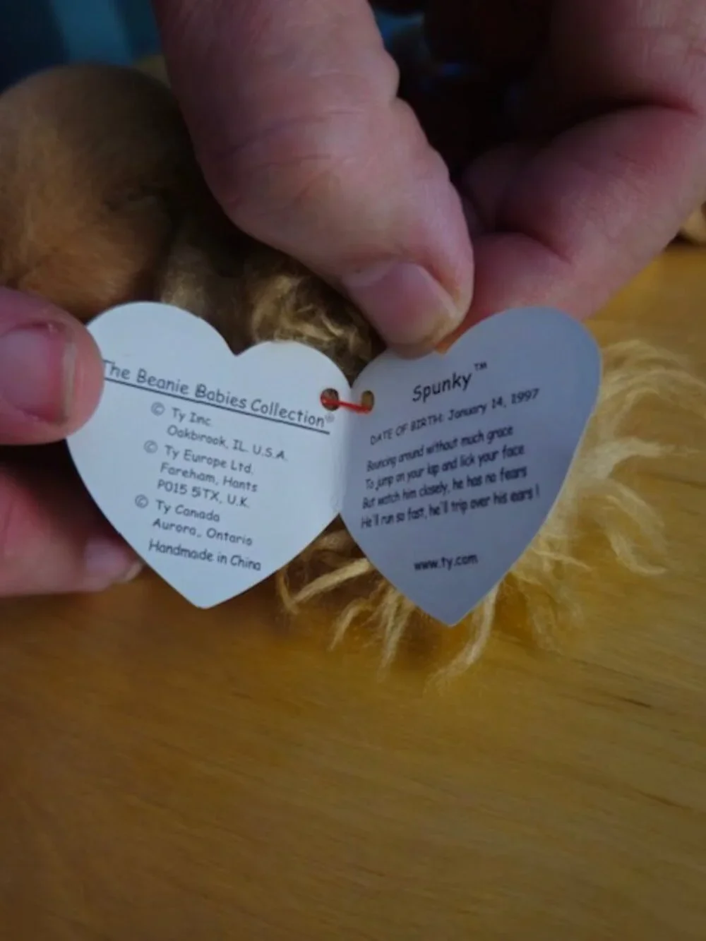 Ty Beanie Baby Spunky Tags Attatched